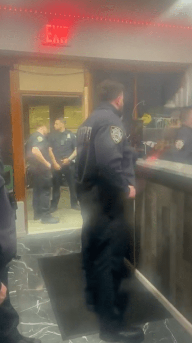 screenshot of coney island bar raid